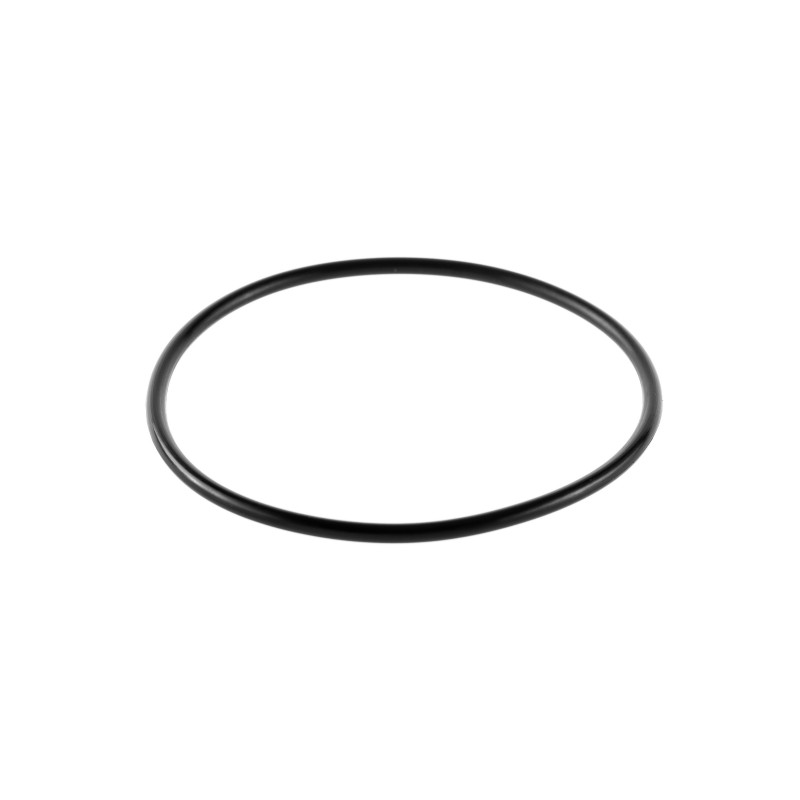 Кольцо уплотнительное для корпусов Гейзер C25 SL